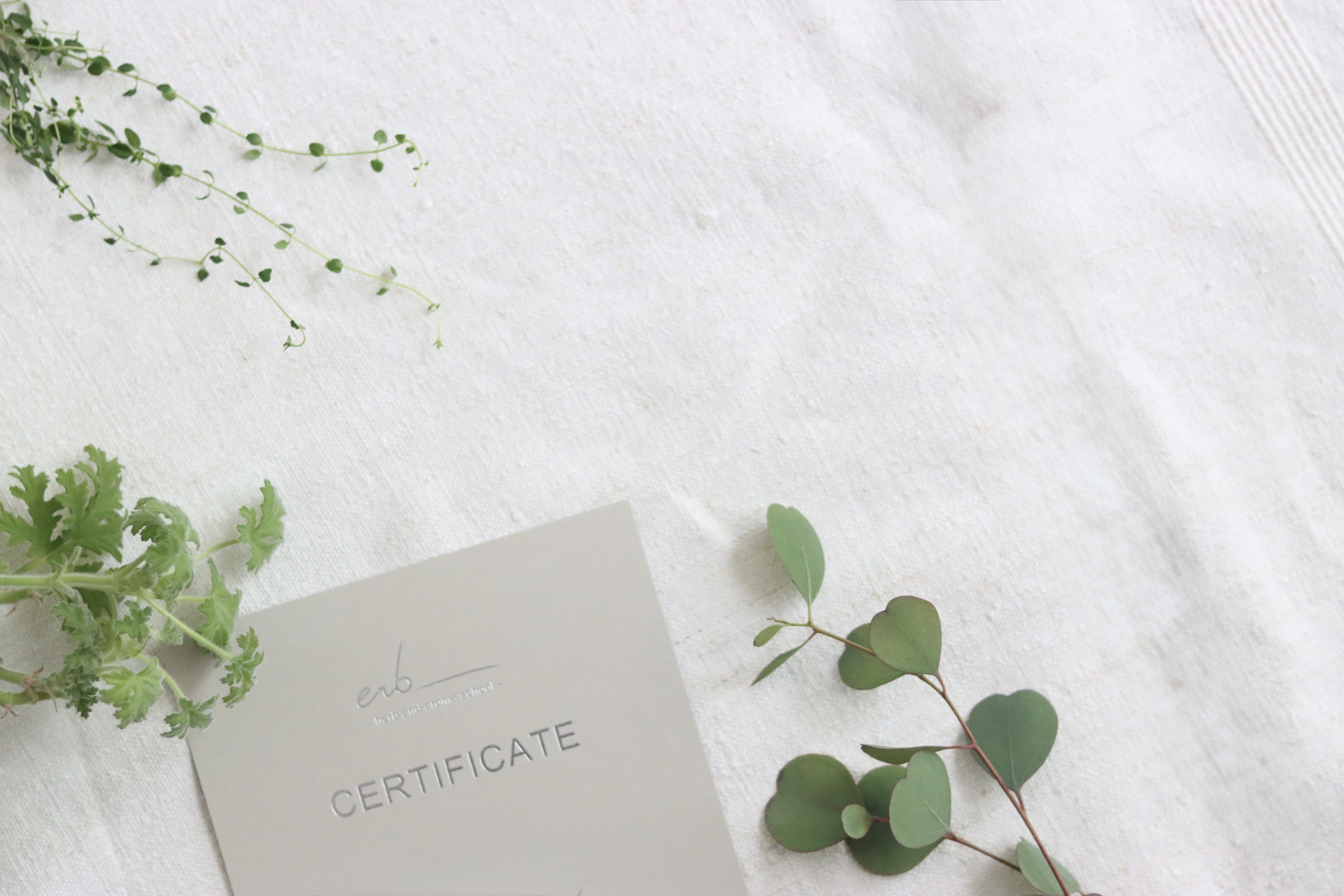 erbのカリキュラムイメージ